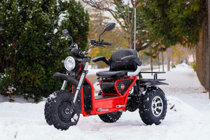 Daymak Boomerbeast 2D AWD 3-Wheel Recreational Scooter