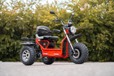 Daymak Boomerbeast 2D AWD 3-Wheel Recreational Scooter